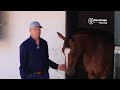 Rio Querari is back in training and readying for his first run