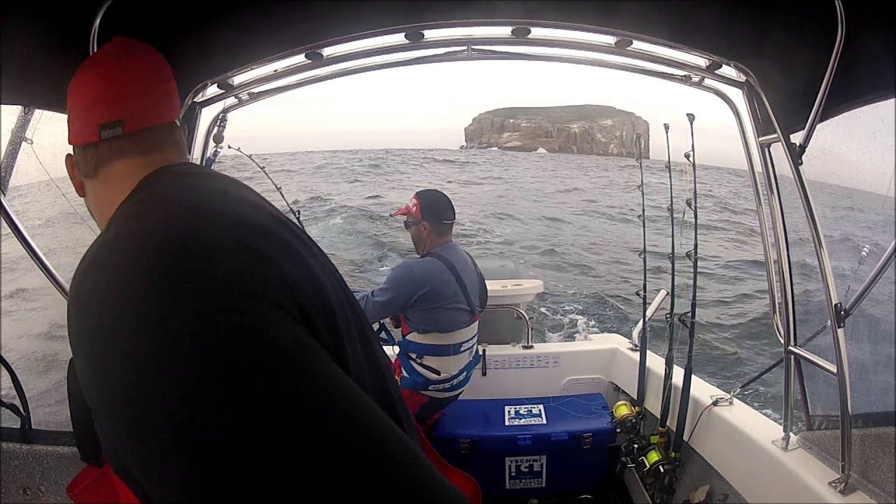EagleHawk Neck, Tasmania Tuna Fishing YouTube