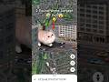 I Found World' s Largest Cat 😶🌫️🤯 on google maps and google earth #shots #universalskt