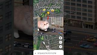 I Found World' s Largest Cat 😶🌫️🤯 on google maps and google earth #shots #universalskt