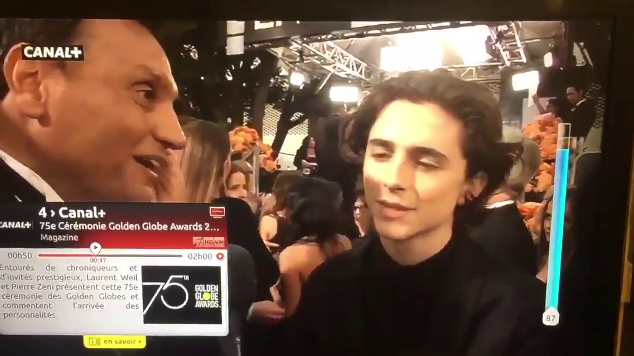 Aux Golden Globes 2019, Timothée Chalamet et son harnais ont fait mouche