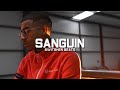 [FREE] Timal x Werenoi Type Beat - "SANGUIN" || Instru Rap Trap Sombre | Instru Rap 2023