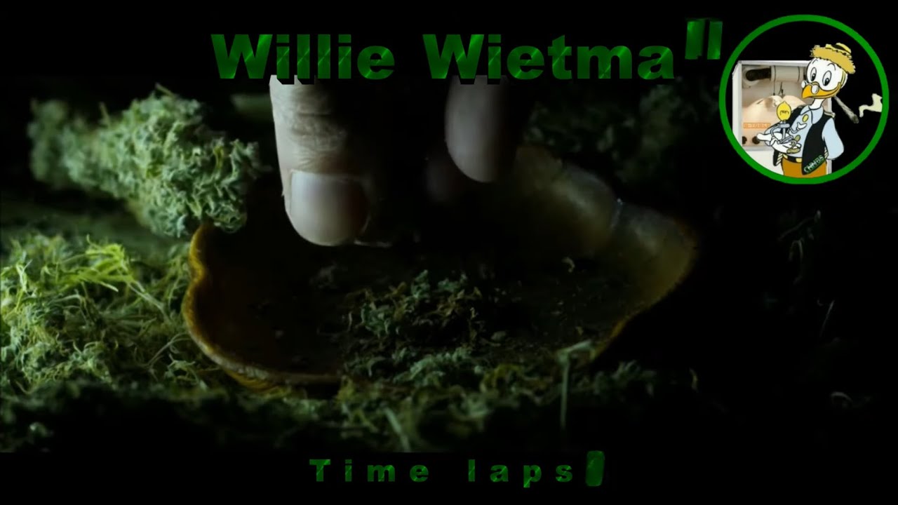 Week 10 van de Duo kweek met Mohammed & Sneeze