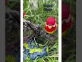 FOUNTAIN SINGIN BIRDS WATERFALL SHOWPEICE #trendingproducts#trendeasy#reel#youtubeshorts#newproduct