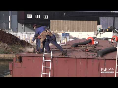 Vidéo: Merveilleux Crinum Flottant