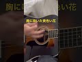 胸に咲いた黄色い花/スピッツ