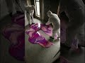 Epic Bedroom epoxy transformation | epoxy transformation AI | #shorts #youtubeshorts #ai