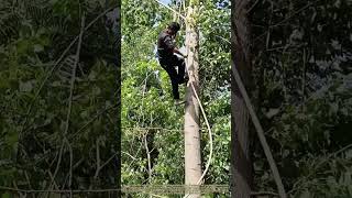 Swinging Down: How a Rope Becomes a Zip Line for a Tree Trimmer