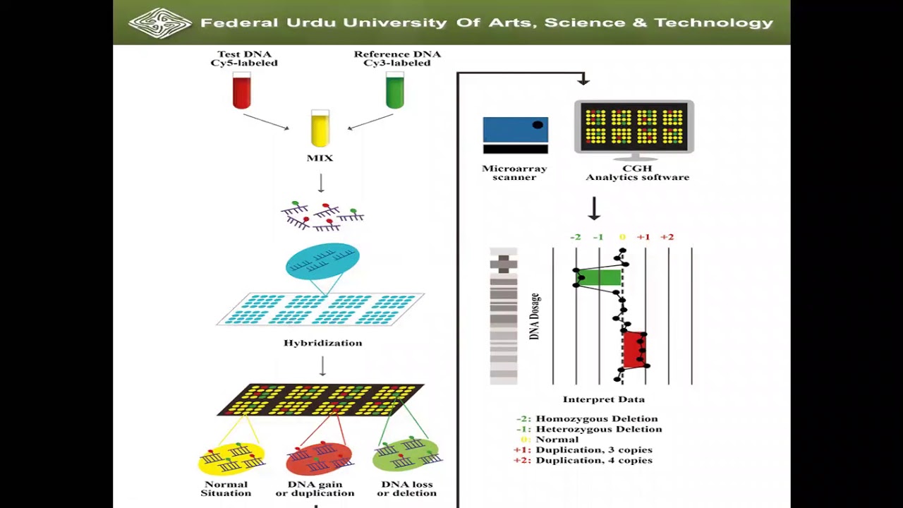 Mutation detection methods in Genetic disorders-2