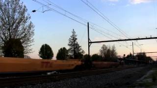 An Evening at CP TRENT: AC6000's, C40-8's, and an SD50-2
