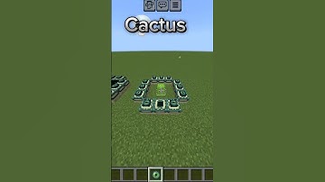 Minecraft end portal vs cactus #minecraft