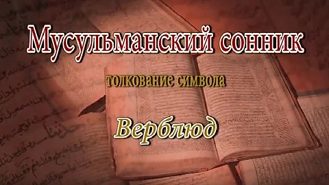 К чему снится Верблюд сонник, толкование сна
