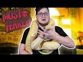 TRAPPED WITH 12 FT MEGA SNAKE!! (VERY DEADLY) 😬 (MOST FEARED)