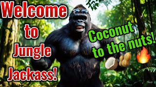 Jungle Jackass: Coconut in the nuts! 🥥🦍