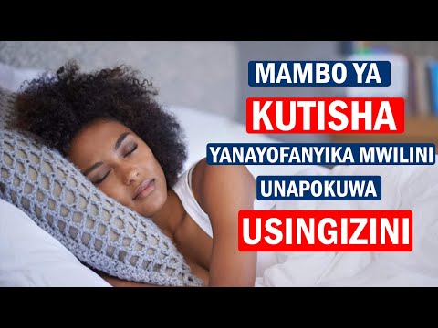 Video: Kwa Dhamana Bora Na Mnyama Wako, Shiriki Usingizi