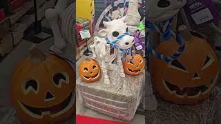 #tractorsupply #chicken #skeleton #halloween #homesteading Tractor supply skeleton large chicken cow