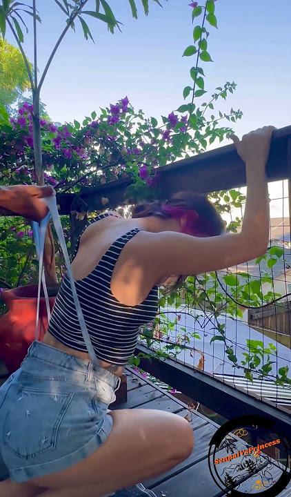 Major Thong Wedgie! Up the Butt