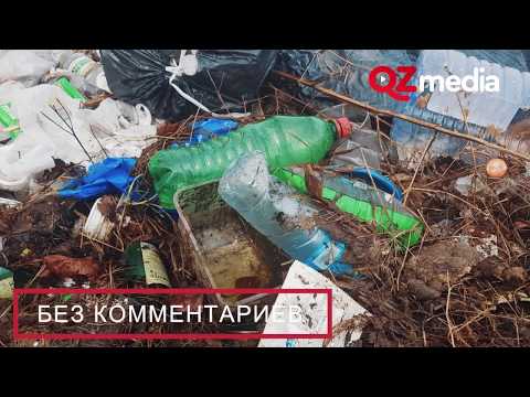 Без Комментариев / Субботник на Пестром? Не слышали