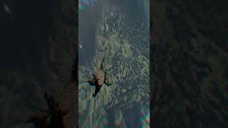 Mediaval Gliding Fortnite Style - Crimson Desert