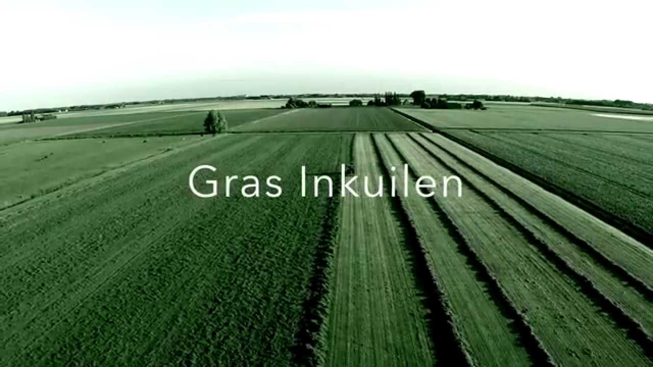 Graskuil-Willemstad