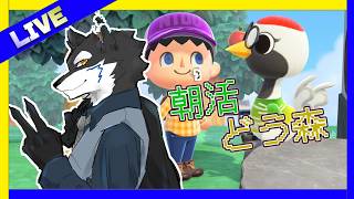 【どうぶつの森】part10  モニカが来たよ!! Live配信  #どうぶつの森 #あつ森 #朝活