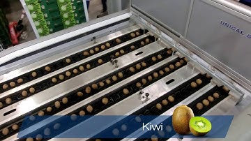 Unitec - Our technologies for the processing of fruit and vegetables