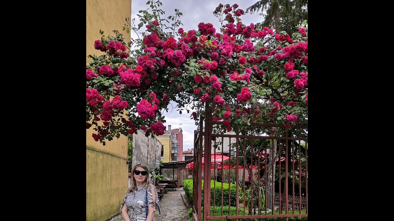 Happy!  Эта девочка говорит неправильно! 😃😉 Или где вкусно поесть. Бургас. Болгария. 2021 г.