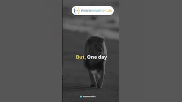 Programmers Club |Full-Stack Web Development Course | Java Programming Course |  Machine Learning