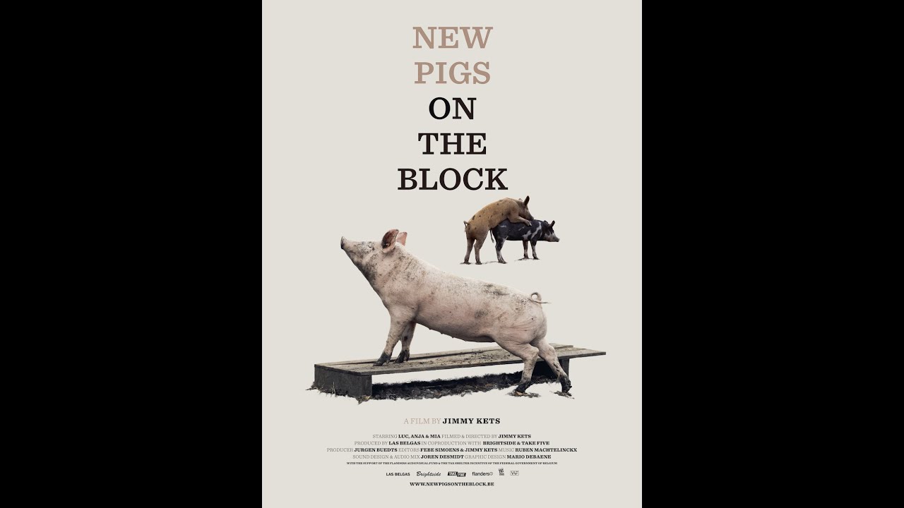 TRAILER NEW PIGS ON THE BLOCK Jimmy Kets