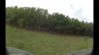 Flying my Tinywhoop FPV drone in an open field surrounded by Trees 🌿🚁....