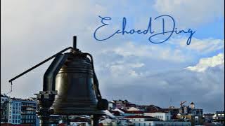Echoed Ding ringtone | Link download mp3
