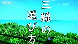 初心者必見】三線購入のアドバイスと、各種特徴4選！ - YouTube