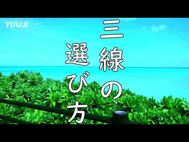 初心者必見】三線購入のアドバイスと、各種特徴4選！ - YouTube