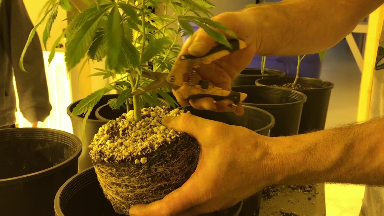 Welcome To The High Road