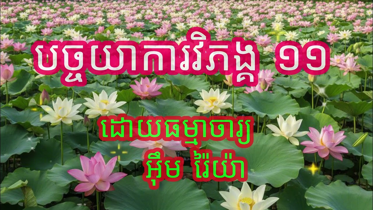 បច្ចយាការវិភង្គ ១១ ឬបដិច្ចសមុប្បាទធម៌ សម្តែងដោយ ធម្មាចារ្យ អ៊ឹម រ៉ៃយ៉ា​ 