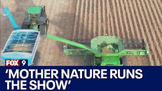 Farmers harvest crops after another dry growing season