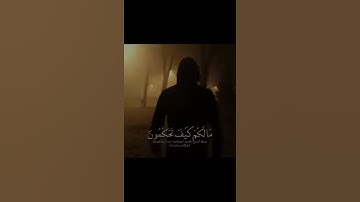 ماتيسر من سورة القلم بصوت القارئ اسلام صبحي حالات واتس اب دينيه