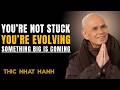 This Is the Phase Right Before Everything Changes || Thich Nhat Hanh