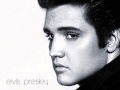 Elvis presleythe wonder of you