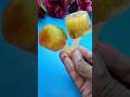 Kiwi 🥝 Frooti water &amp; santra icecream Popsicle🍧 | #icecream #popsicle #shortskkfoods