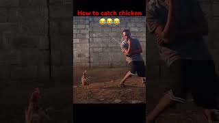 Cara menangkap ayam | #prank #komedi #trending #lucu #shorts #afrika #ayam #hewan #hariini