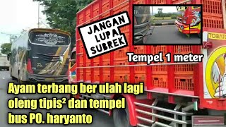 truk ayam terbang ber ulah lagi di alteti kendal-batang tempel bus po haryanto !!!