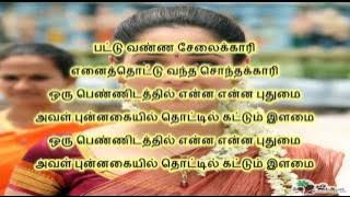 பட்டு வண்ண சேலைக்காரி