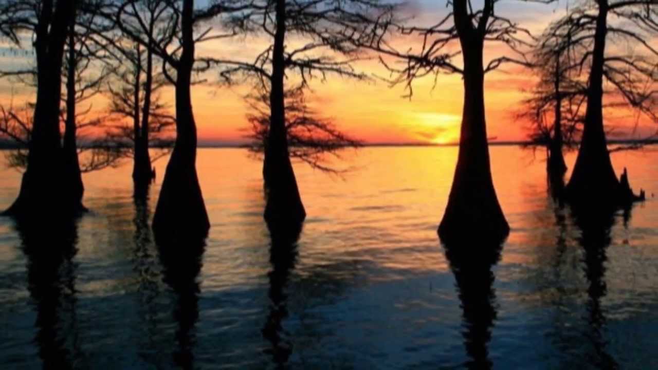 Caddo Lake U.S. (HD1080p) YouTube