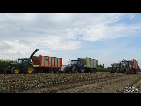 Mais XXL 2020 | New Holland FR9050 | 9 tractors! | M.Verhoef | Nijkerk.