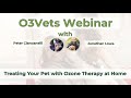 Treating Your Pet at Home with Ozone Therapy