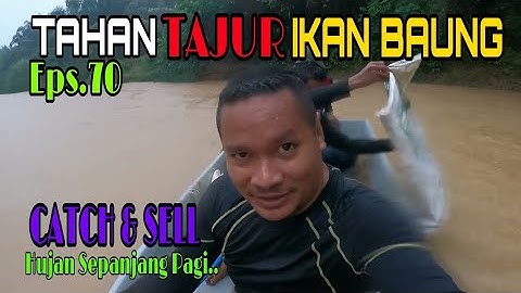 Tahan Tajur Ikan Baung | Basah Kuyup Mandi Hujan