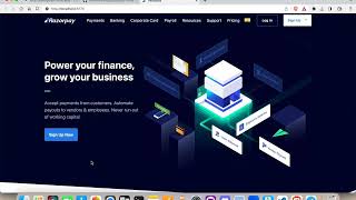 Fintech interface design (Razorpay-clone)