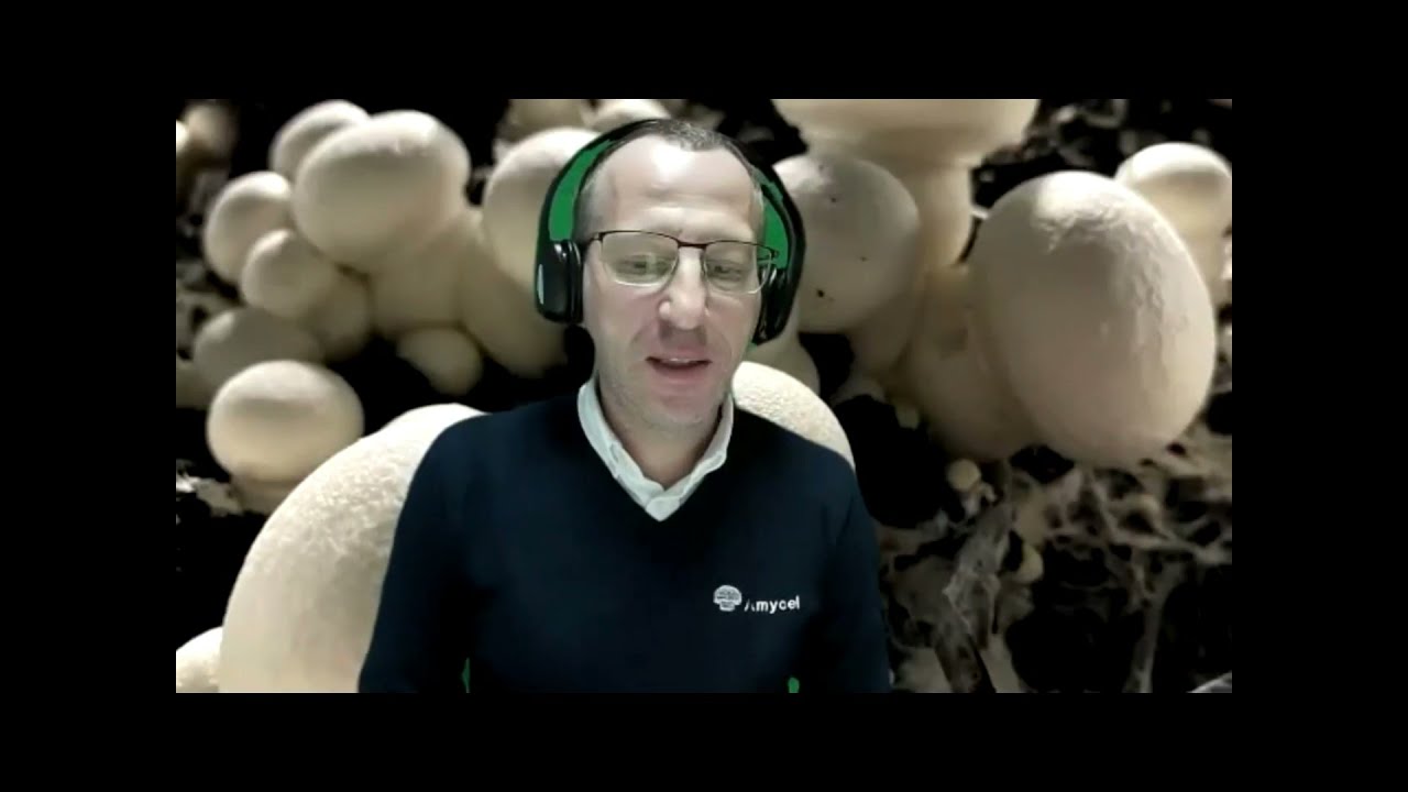 Презентация Романа Столпера на веб-конференции UMDIS 17.11.2020