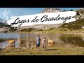 El lugar MAS BONITO de ASTURIAS | LAGOS DE COVADONGA